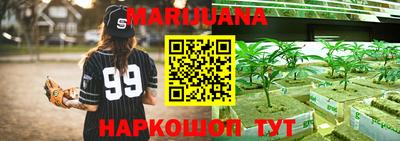индика Пушкино