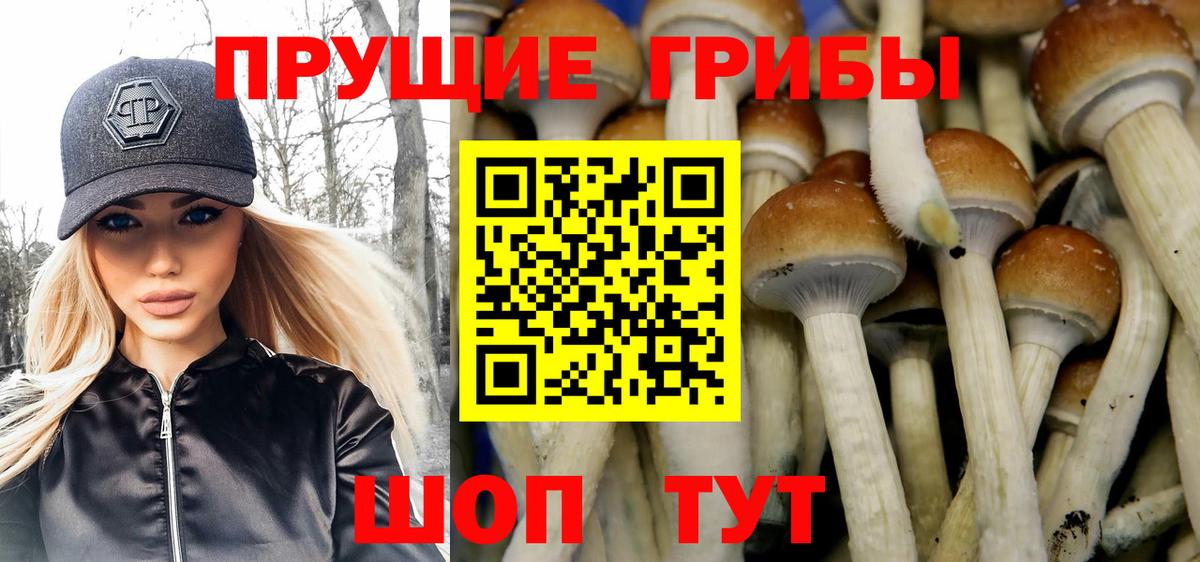 Галлюциногенные грибы Magic Shrooms Северск