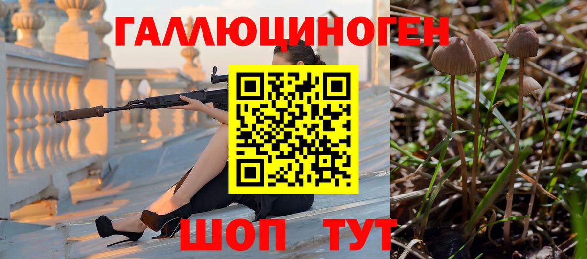 Галлюциногенные грибы Psilocybine cubensis  Псилоцибиновые грибы MAGIC MUSHROOMS  Вход с VPN  Северск 